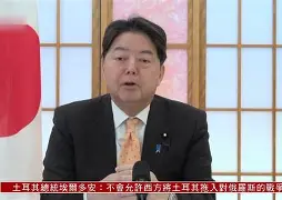 开云APP-关于集结日法甲传出新动向，多伦多猛龙战术微调，管理层表态——媒体盛赞，更衣室氛围转暖的信息